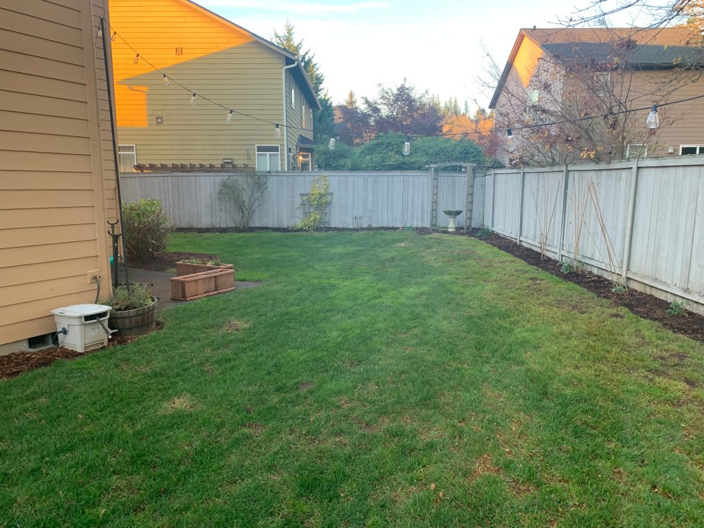 Professional lawn restoration and over-seeding for thick, green turf in Vancouver.